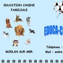 Articles de educachienmolan